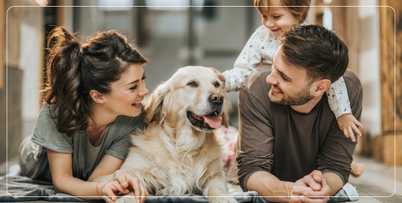 Jetzt Tarif berechnen
