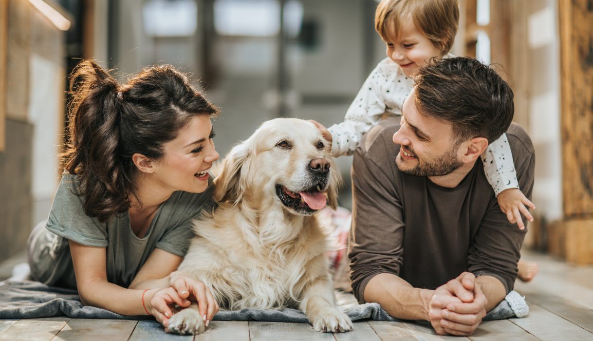 Eine glückliche Familie mit Vater, Mutter, Kind und Hund – symbolisiert Vertrauen, Nähe und zuverlässige Energieversorgung im Alltag durch den regionalen Anbieter.